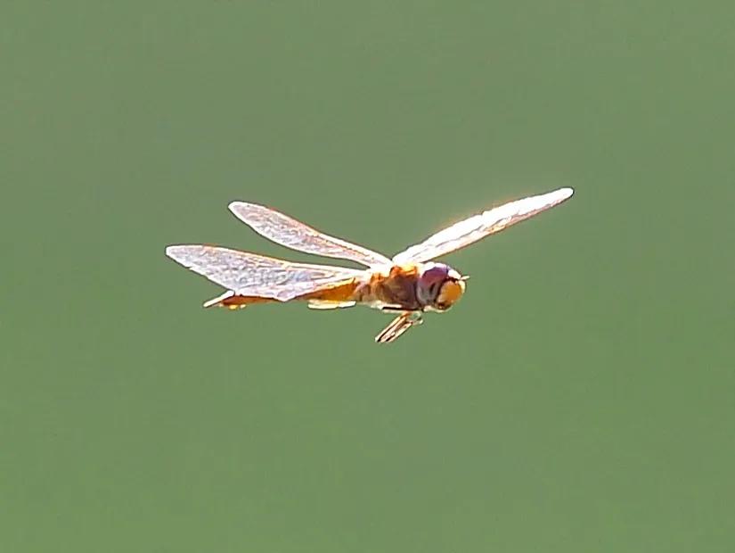 拍儿童照被坑,那些年带娃踩过的坑