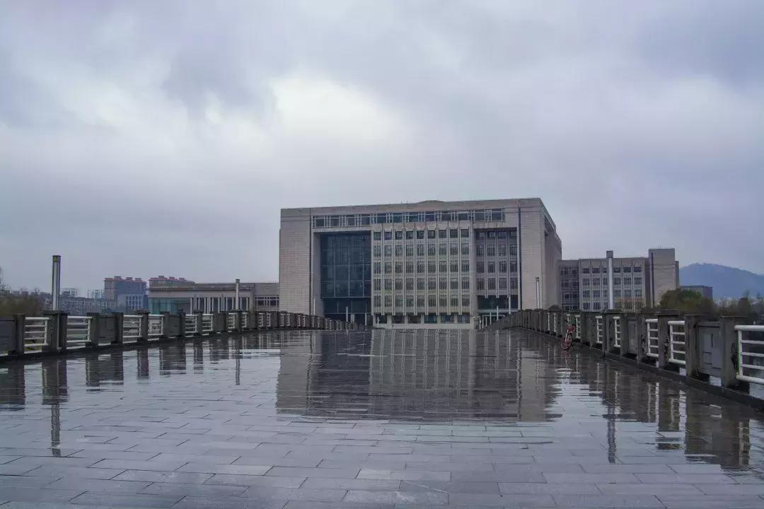 中南路事件,关于中南的那些事短剧