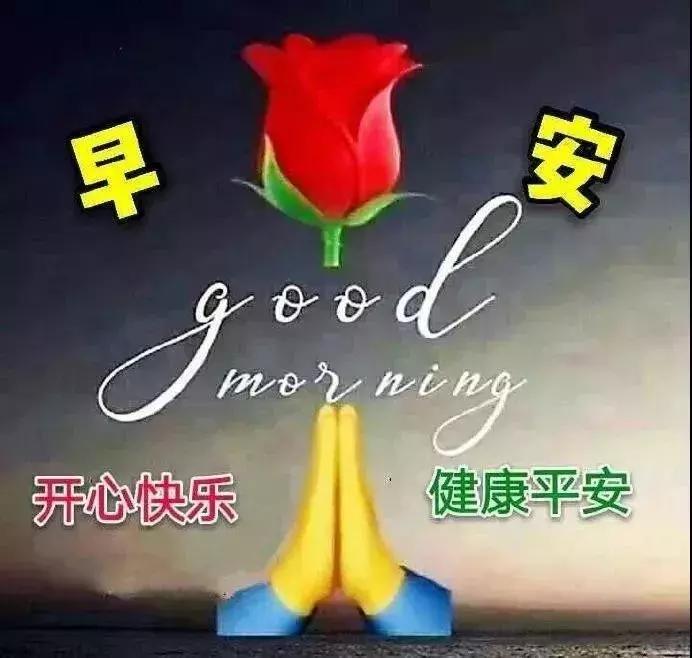 最美早上好带字图片温馨,早上好最新温馨带字图片唯美