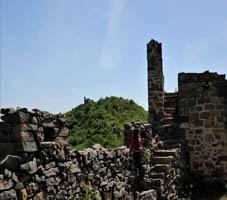 新型农业综合体,新型农业综合体是什么