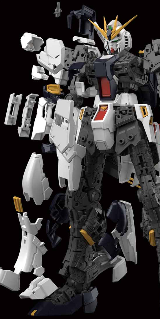 五字头耗子的2019年5月见闻录