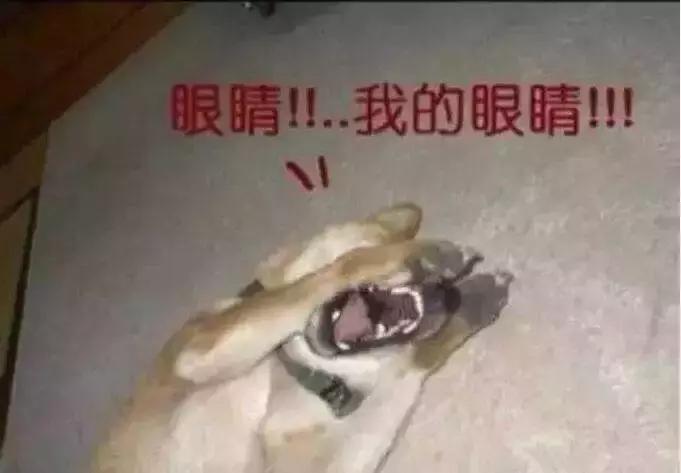 想改大灯但无从下手？你想知道的都在这了！