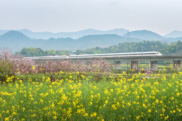祁东县在外打工的人有多少,祁东人在深圳打工