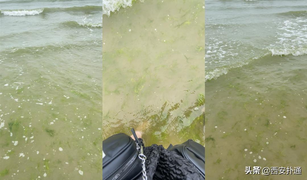 青岛烟台威海玩海攻略,青岛威海烟台大连环线旅游攻略