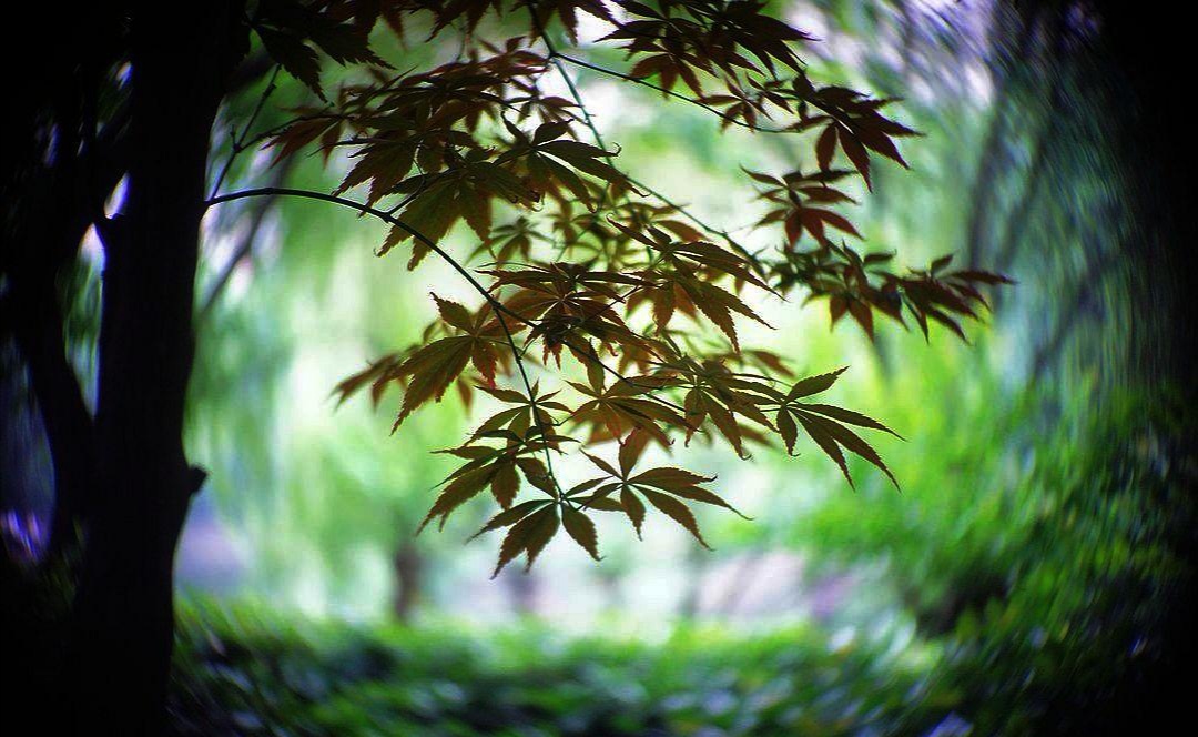 vivox60pro+与vivox60pro,vivox60pro测评深度