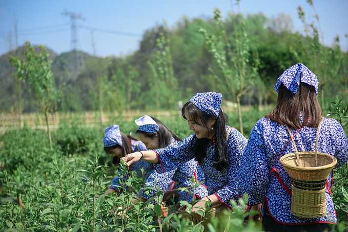 疫情对湖南这里居然丝毫没有影响！0病发，还超级适合徒步旅行！