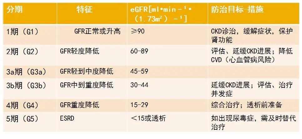 糖尿病28岁医生,29岁糖尿病肾病三期能治好吗