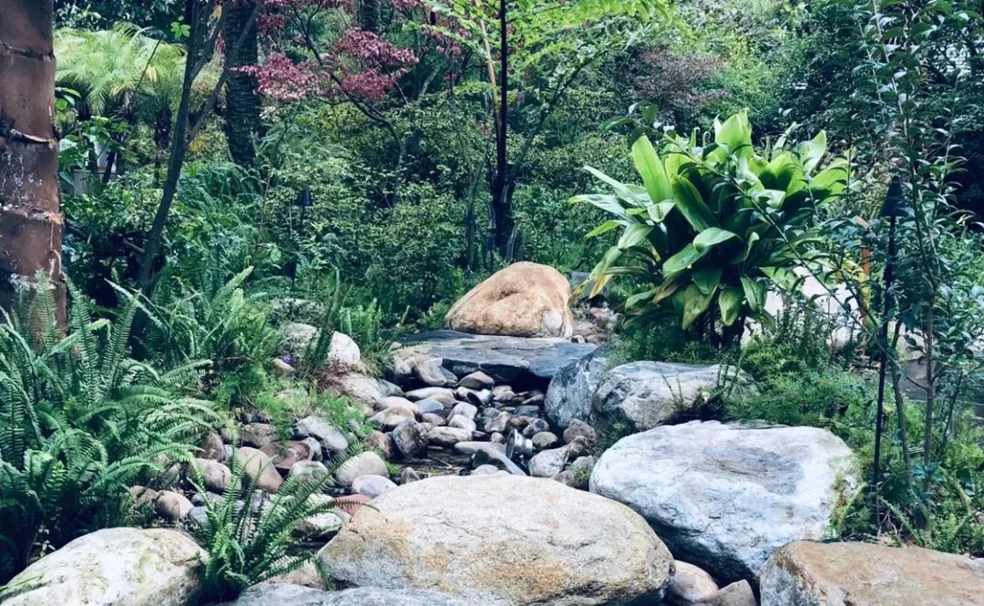 最近昆明有没有最值得去玩景点,推荐昆明最适合去玩的地方