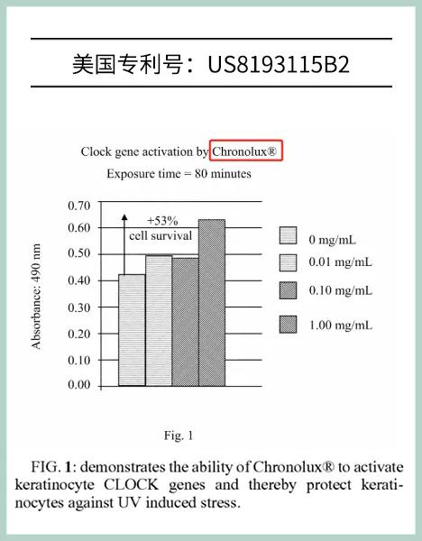 小棕瓶版本成分,不同版本的小棕瓶气味一样吗