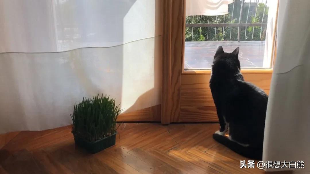 我阳性了可以出去取快递吗,我阳性了