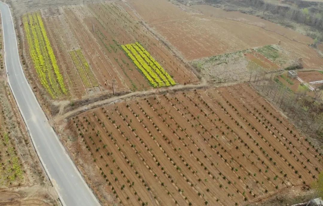 峰峰矿区哪个乡镇最好,峰峰美丽乡村都有哪些