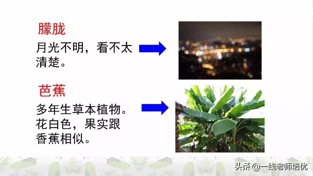 六年级上册第二课丁香结知识点,部编版六年级上册语文丁香结预习
