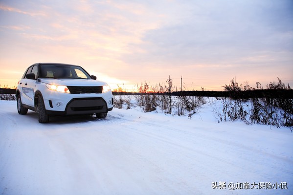 加拿大汽车保险中英文对照