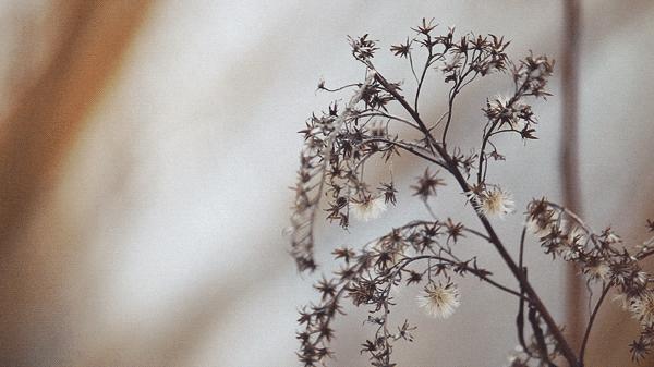 一个兼职宝妈成功逆袭,一位聪明妈妈做了8年免费保姆