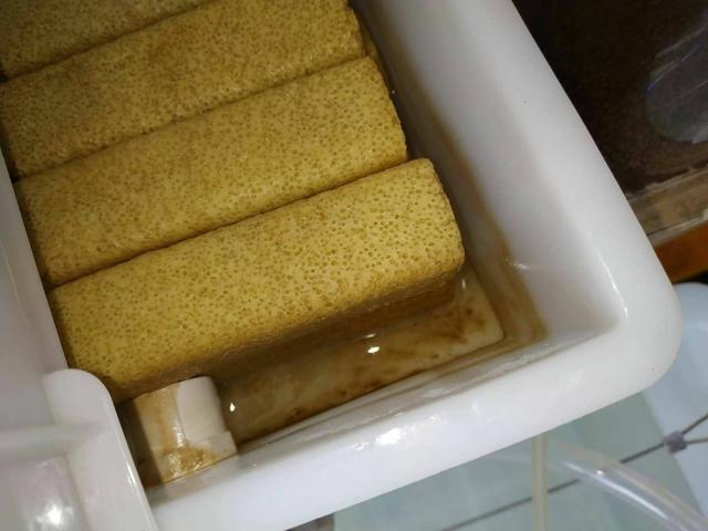 陶瓷环细菌球可以直接放鱼缸里吗,细菌屋陶瓷环直接放鱼缸里可以吗