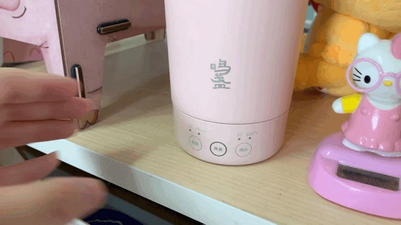 烧水杯小型便携式哪个牌子好,荣事达便携式烧水杯怎么样