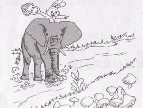 一二年级看图写话写作技巧,看图写作文二年级方法