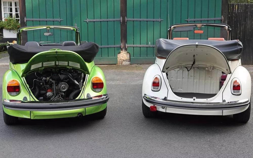 甲壳虫能彻底复活吗,造型奇特的甲壳虫