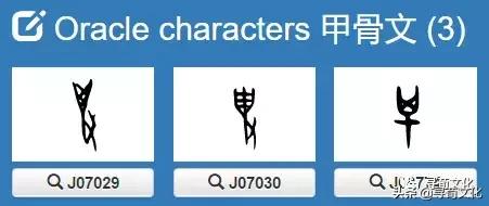 毕-汉字的艺术与中华姓氏文化荀卿庠整理