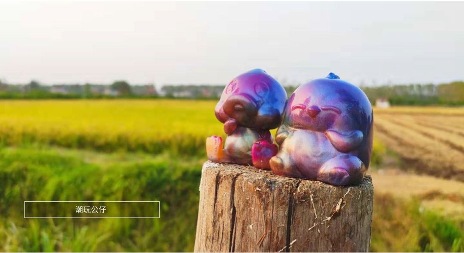 LJK特邀嘉宾｜韩鹏：有梦想的小鸡