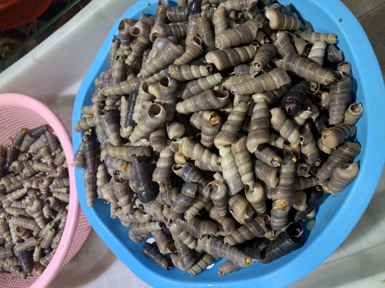 北海干货海鲜批发市场哪个便宜,北海菜市场买海鲜哪个最新鲜