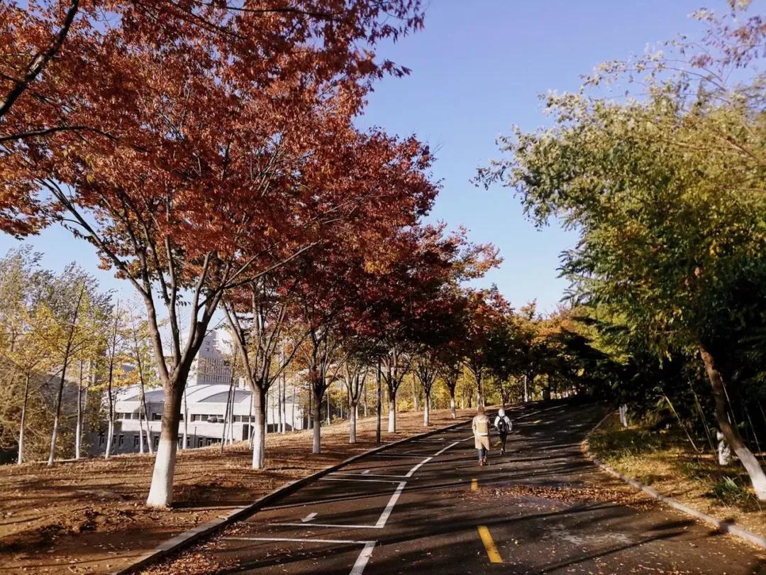 辽宁省民办大学（二）大连东软信息学院