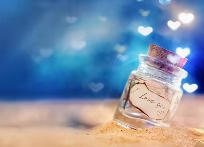 思维导图我的动物朋友,四年级习作我的动物朋友导图