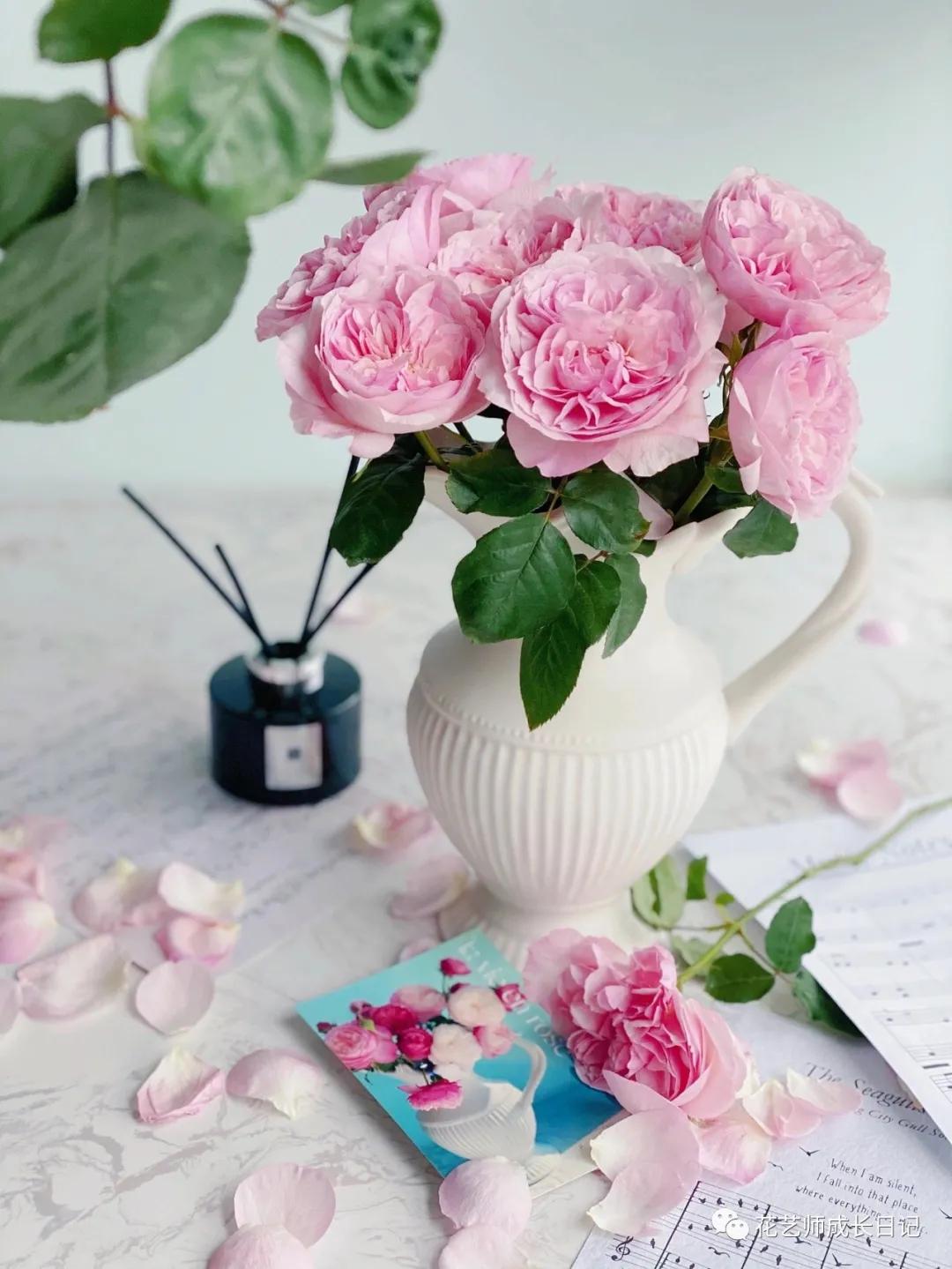 五号香水玫瑰花,100朵粉色玫瑰