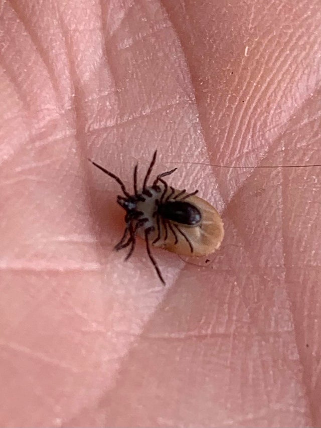 30张活久未见的图片,30组活久见的照片