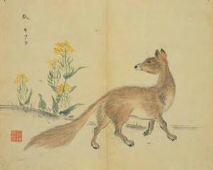 易经中的狐狸——美女神话的兴起