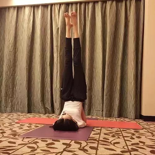 刘雯解约蔻驰,刘雯与蔻驰现状