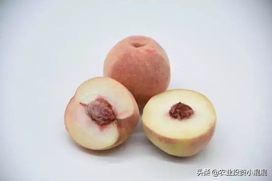 猕猴桃中国最好吃的品种,中国猕猴桃什么品种最好吃