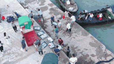 看饿了!南海开渔,佛山人去这些地方吃到high