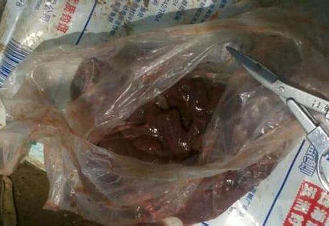 渔人钓鱼技巧视频,祖传千年钓甲鱼秘方