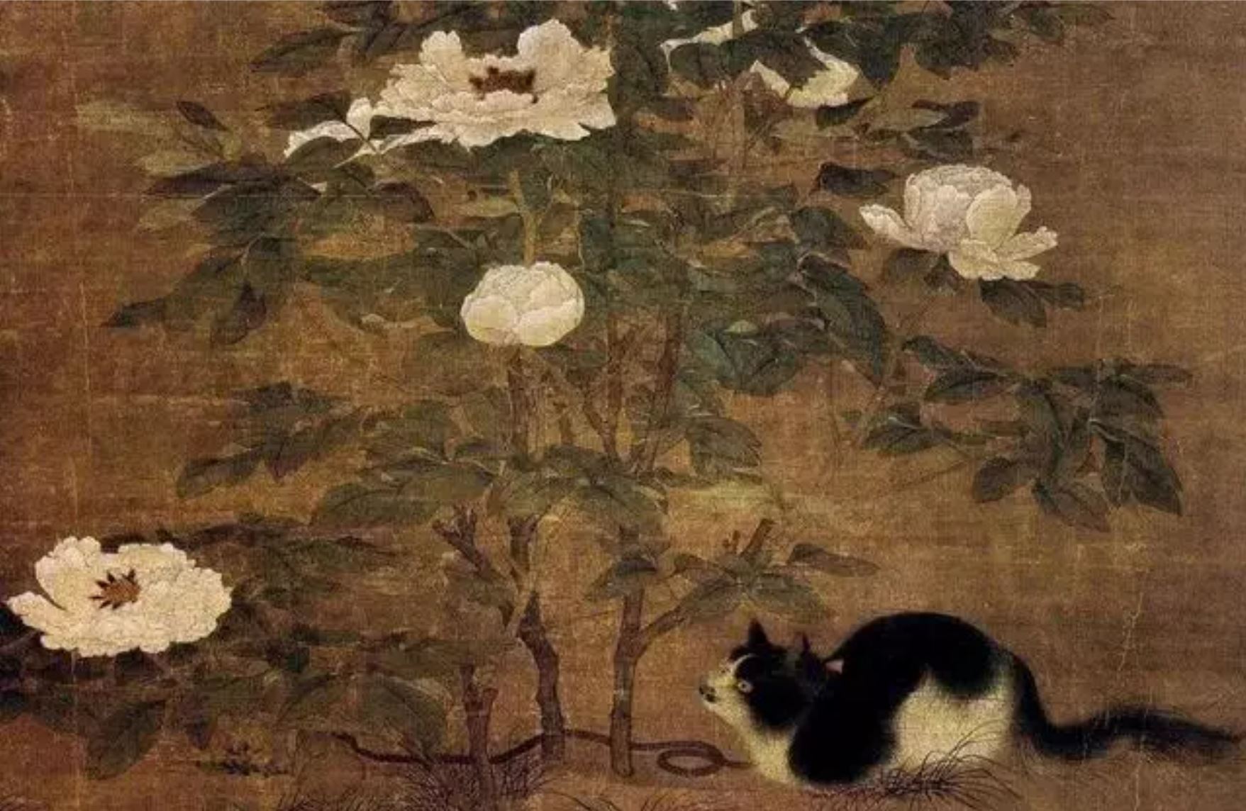 宋人与狸奴：一个疯狂吸猫的时代