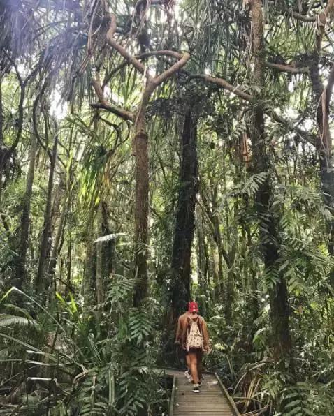 a上帝的宠儿114,上帝的宠儿阅读答案