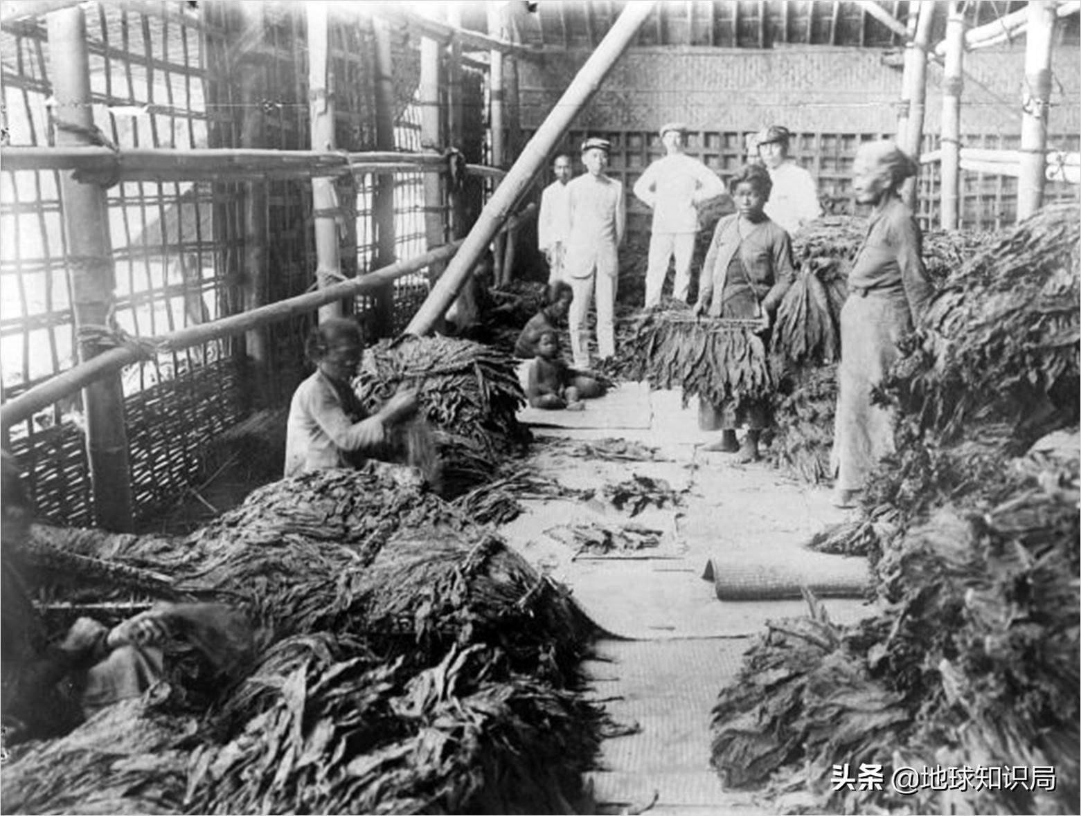 印尼在亚洲的实力排名,印尼有几亿人