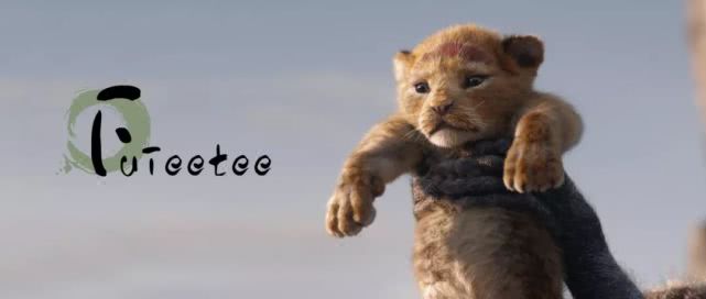 狮子王哪个版本最好看,狮子王好不好用