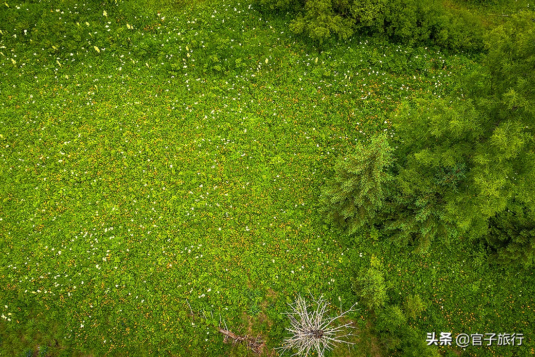 自驾游夏天长白山旅游攻略,夏天长白山附近旅游攻略