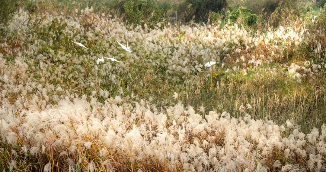 5a级景区排行榜杭州,浙江首批5a景区有哪些
