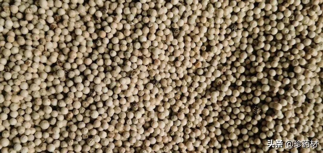 药材市场今日观察第五期,药材市场每日观察二十四期