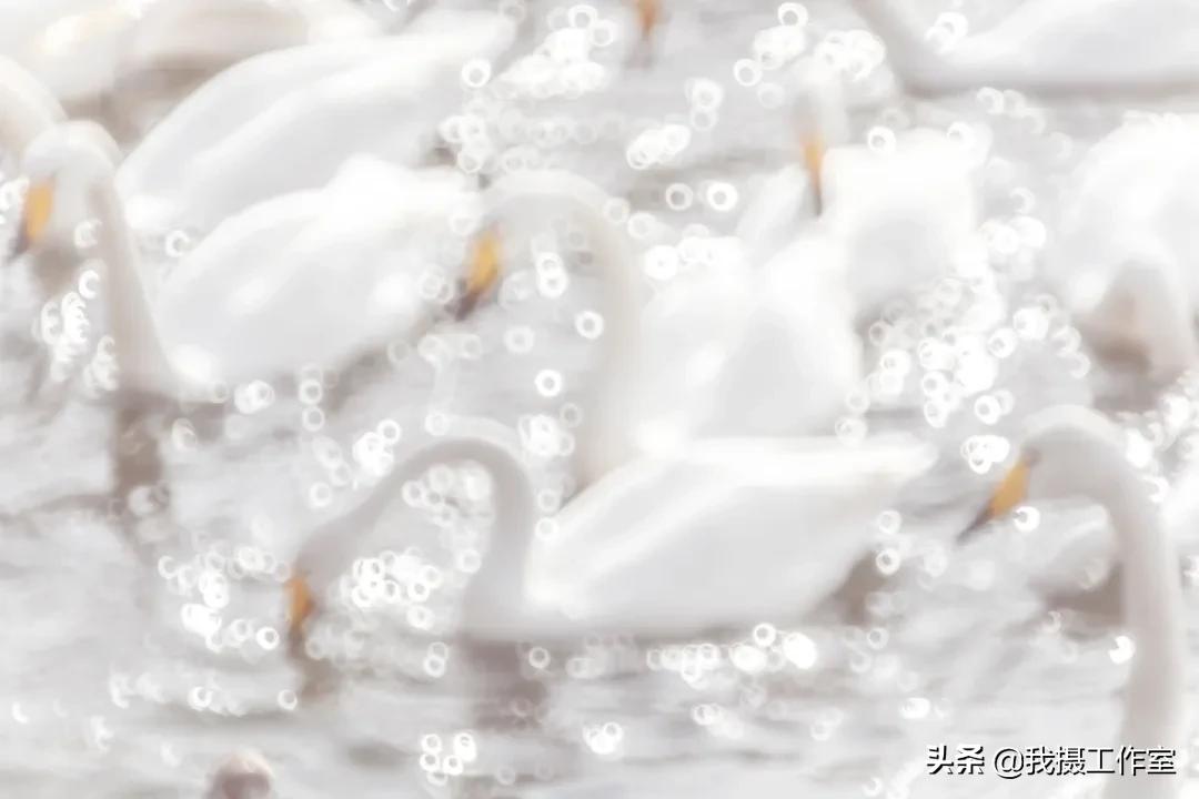 第16届国际摄影艺术展获奖作品,第29届全国摄影艺术展览作品集