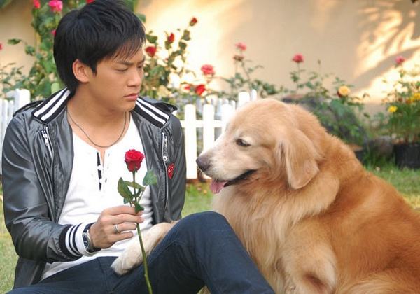 以前火爆的泰剧爱在旅途,爱在旅途泰剧播出时间