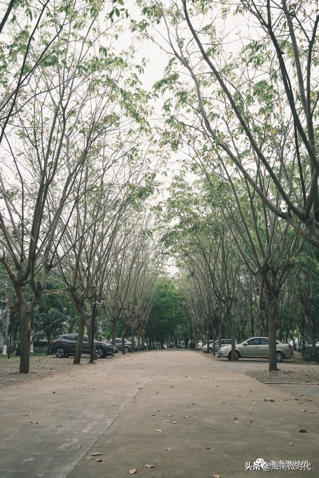 海南大学啥时候开学,海南大学研究生开学