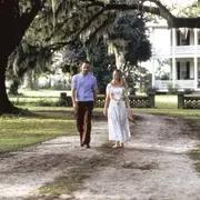 单身贵族福利!几部爱情电影,让你相信爱情