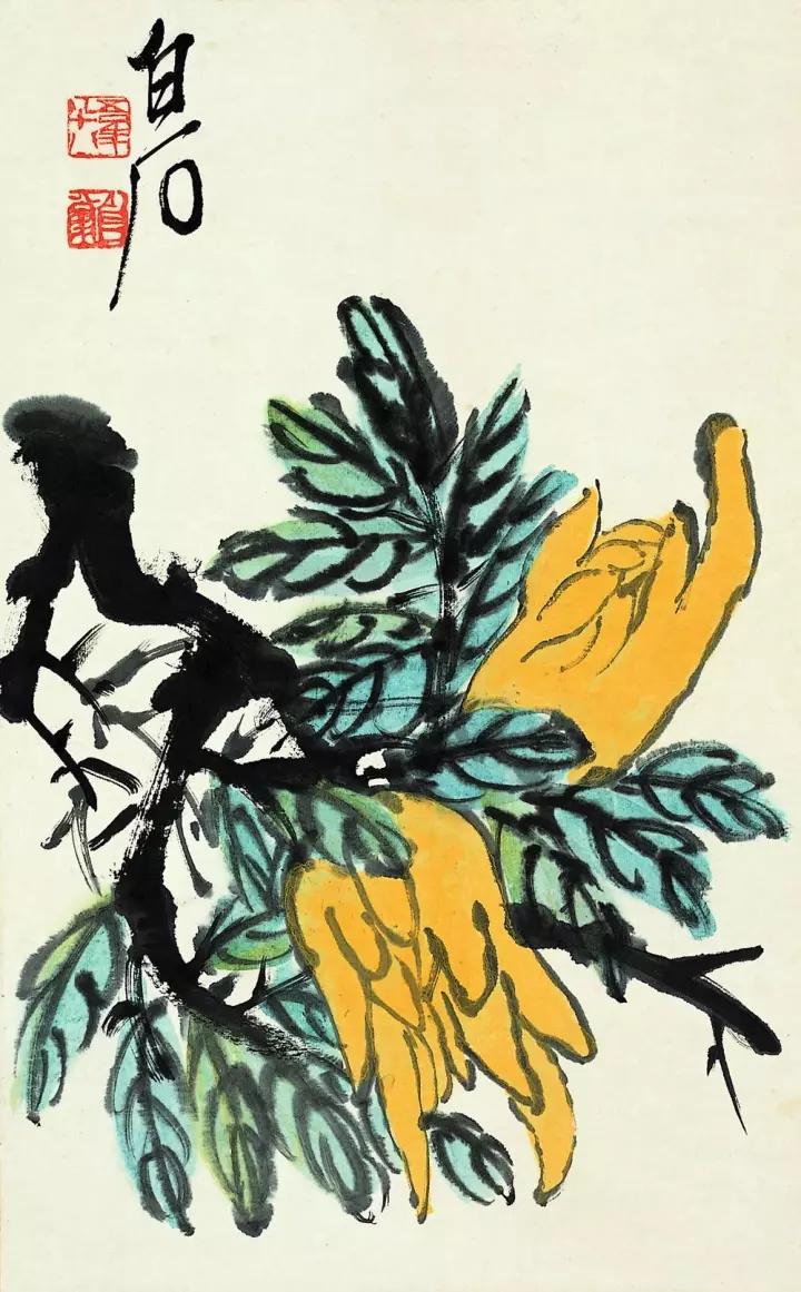 佛手只长叶不开花,佛手只有一种果子