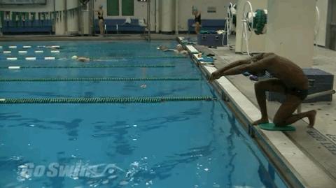 游泳跳水出发视频,游泳跳水的正确训练方法