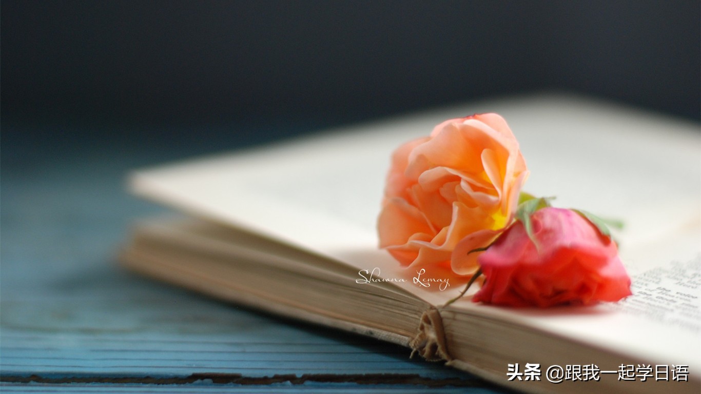 日语数词正确读法,日语符号大全和读法