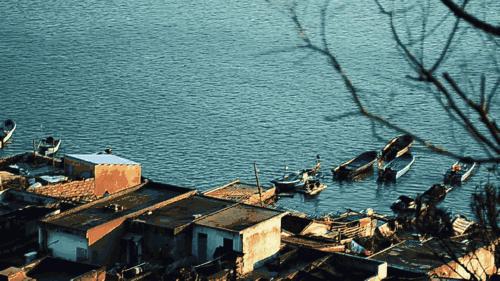 鱼儿食欲怎么样,鱼儿是怎么吃东西