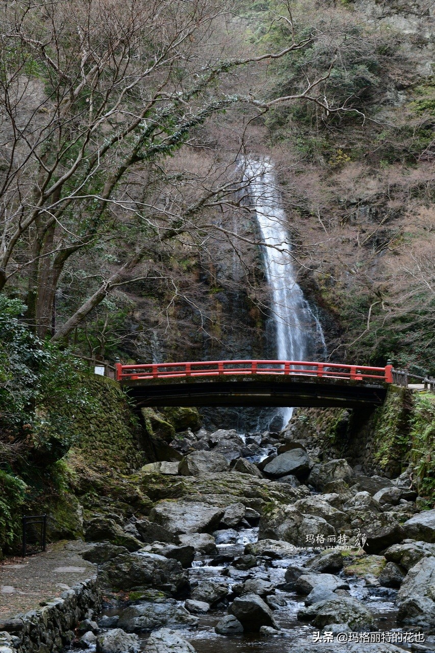 萁田森林公园和大阪的省钱之旅|行摄日本